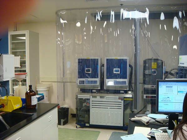 PVC protection film