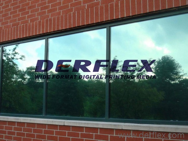 Privacy Window Film