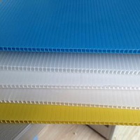 Polypropylene hollow sheet