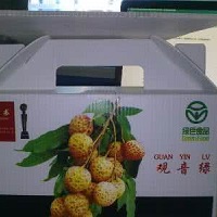 PP corrugated plastic sheet manufacturer