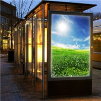 digital backlit PET