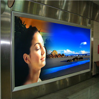 digital backlit PET