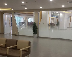 Decoração de janela Filme fabricante