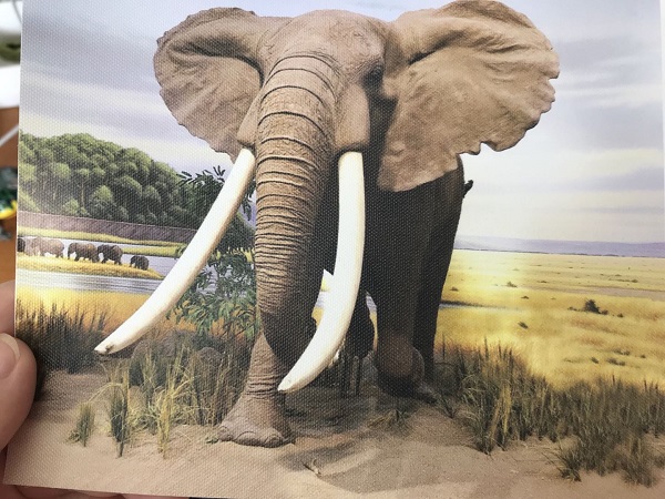 waterproof PVC self-adhesive wallpaper