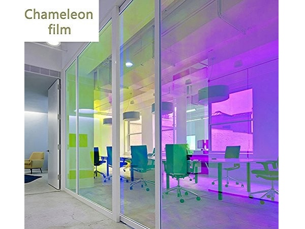 chameleon film