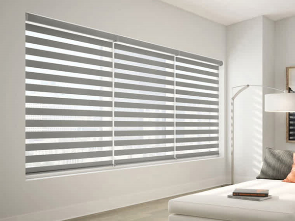 zebra blind shades