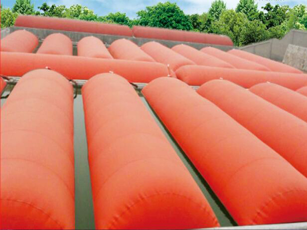 the soft digester