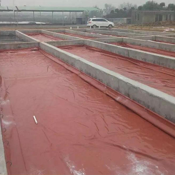 the soft digester
