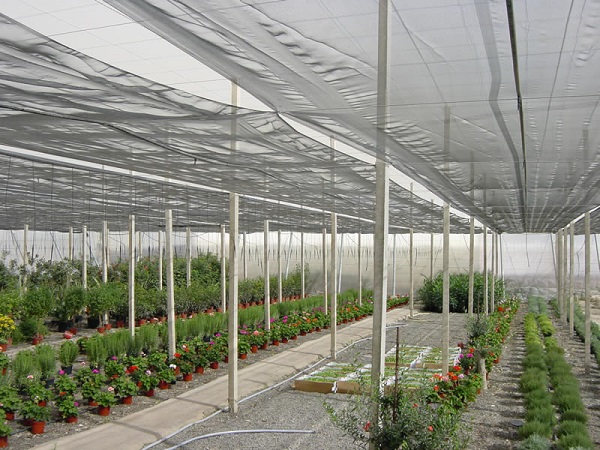 Lona PVC Para Agricultura