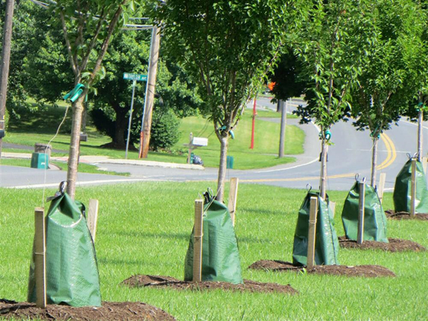 Aplicaciones de la lona de PVC para sacos de riego de árbol: