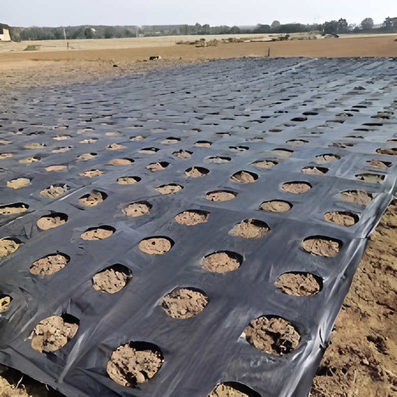 PVC agricultural fabric