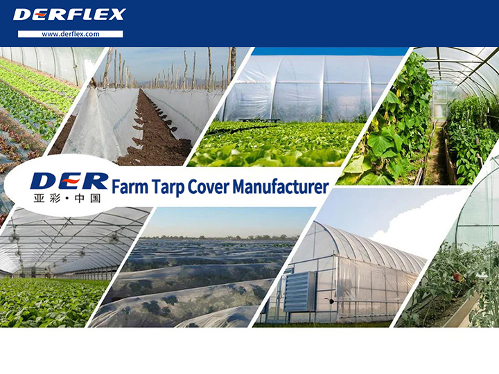 Agriculture PVC Tarpaulin, agricultural tarpaulin manufacturer, farm tarpaulin supplier, PVC tarpaulin for agriculture, greenhouse PVC cover, hay cover tarpaulin, silage cover PVC tarpaulin, UV resistant farm tarp, waterproof agricultural tarp, PVC coated polyester fabric for farming