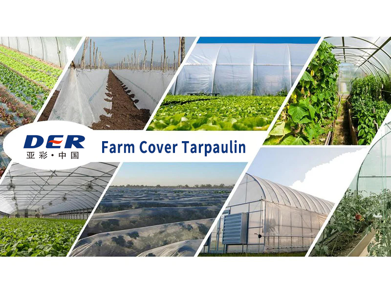 agriculture cover sheet