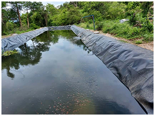 aquaculture pond liner
