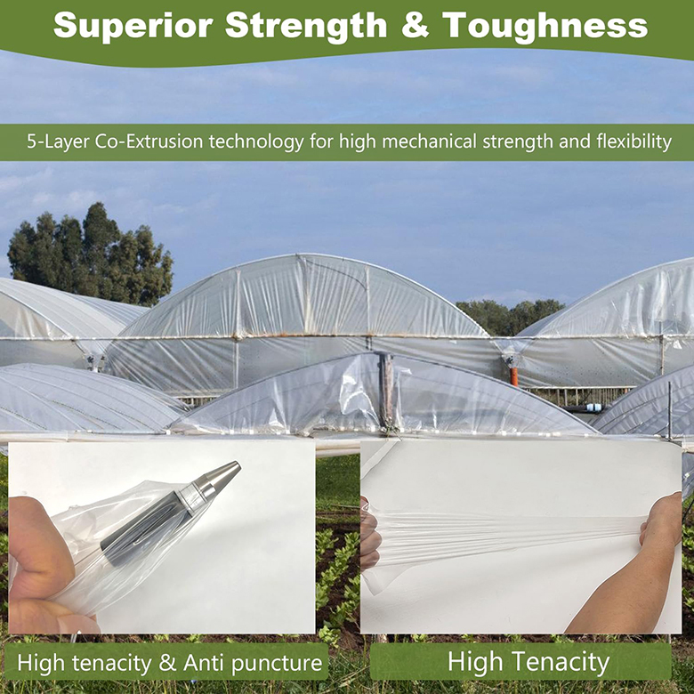 greenhouse tarp