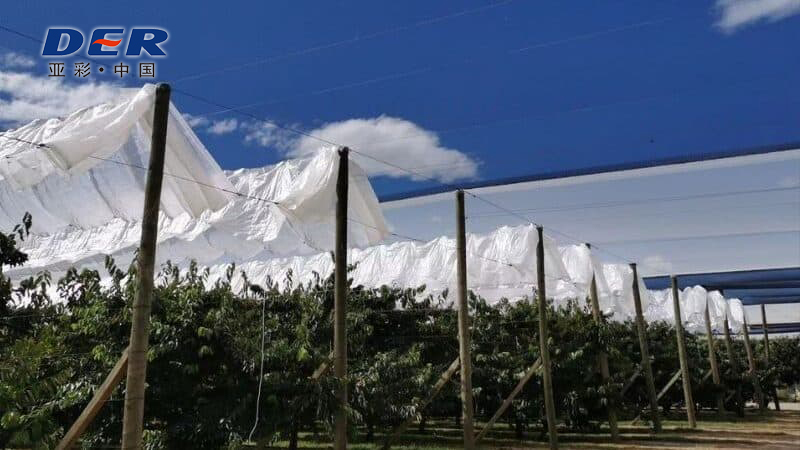 PE agricultural tarpaulin