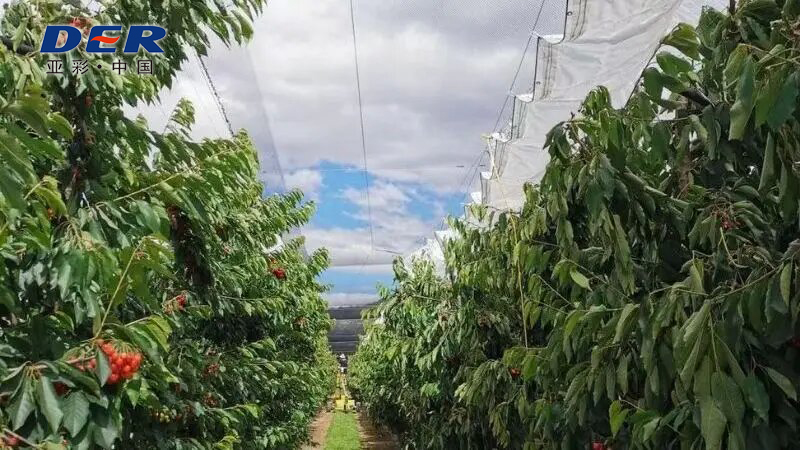 PE tarpaulin manufacturer