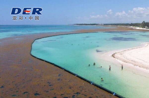 SEAWEED BOOM sustainable seaweed product