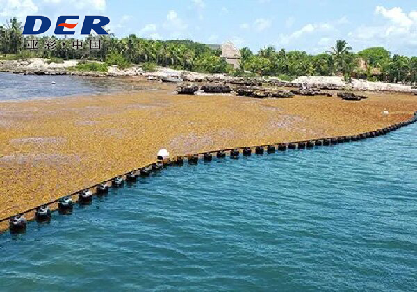 seaweed reinforced industrial fabric