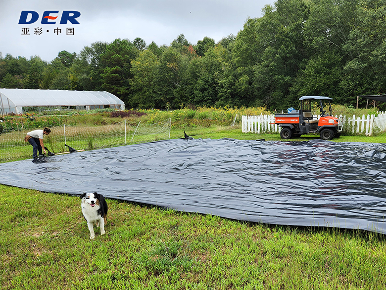 silage film