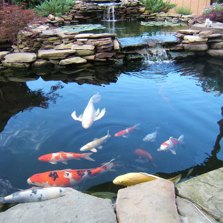 fish pond liner manufacturer